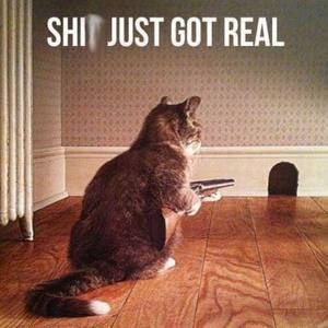 Meet your Posher, Sabrina